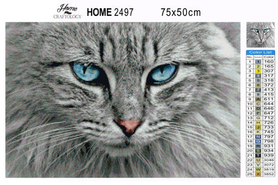 Cat's Portrait - Premium Diamond Painting Kit