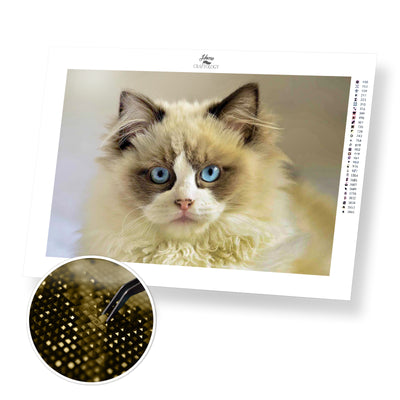 Fluffy Cat - Premium Diamond Painting Kit