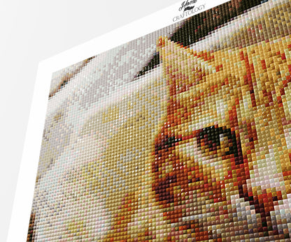 Orange Cat - Premium Diamond Painting Kit