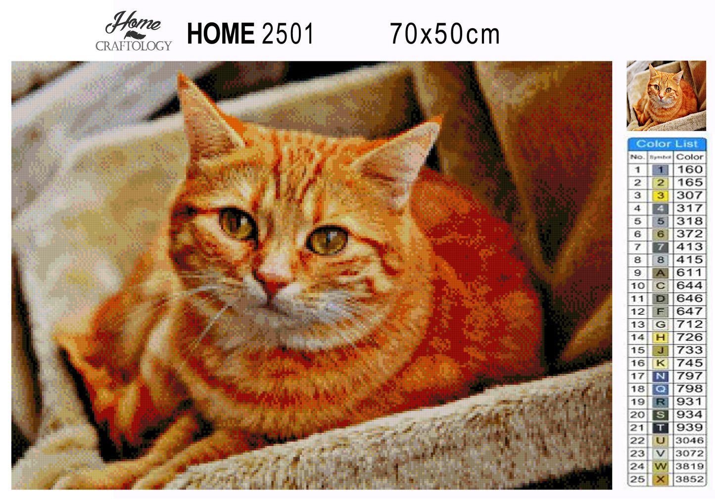 Orange Cat - Premium Diamond Painting Kit