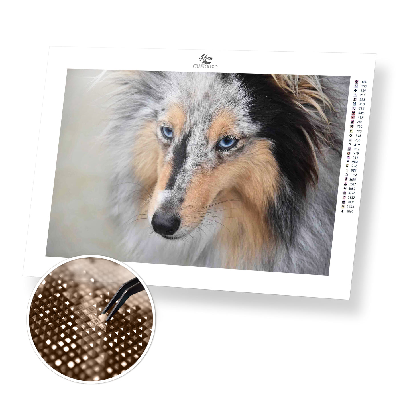 Shetland Dog - Premium Diamond Painting Kit