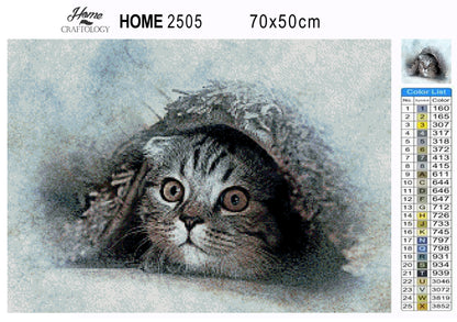 Shy Cat - Premium Diamond Painting Kit