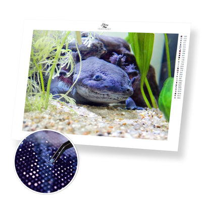 Black Axolotl - Premium Diamond Painting Kit