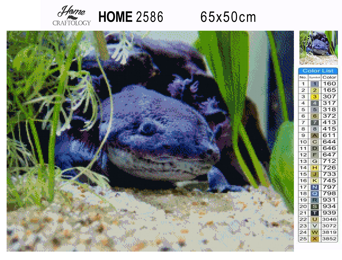 Black Axolotl - Premium Diamond Painting Kit