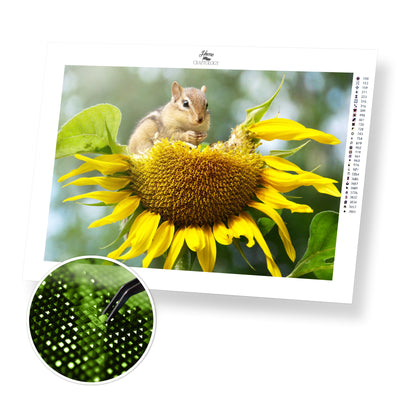 Chipmunk on a Sunflower - Premium Diamond Painting Kit