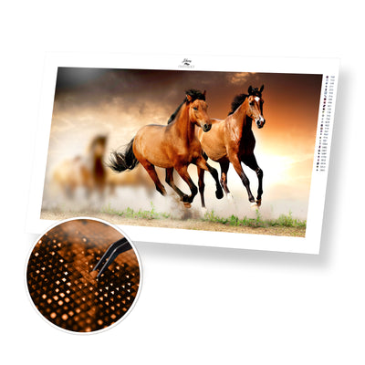 Two Running Horses - Premium Diamond Painting Kit