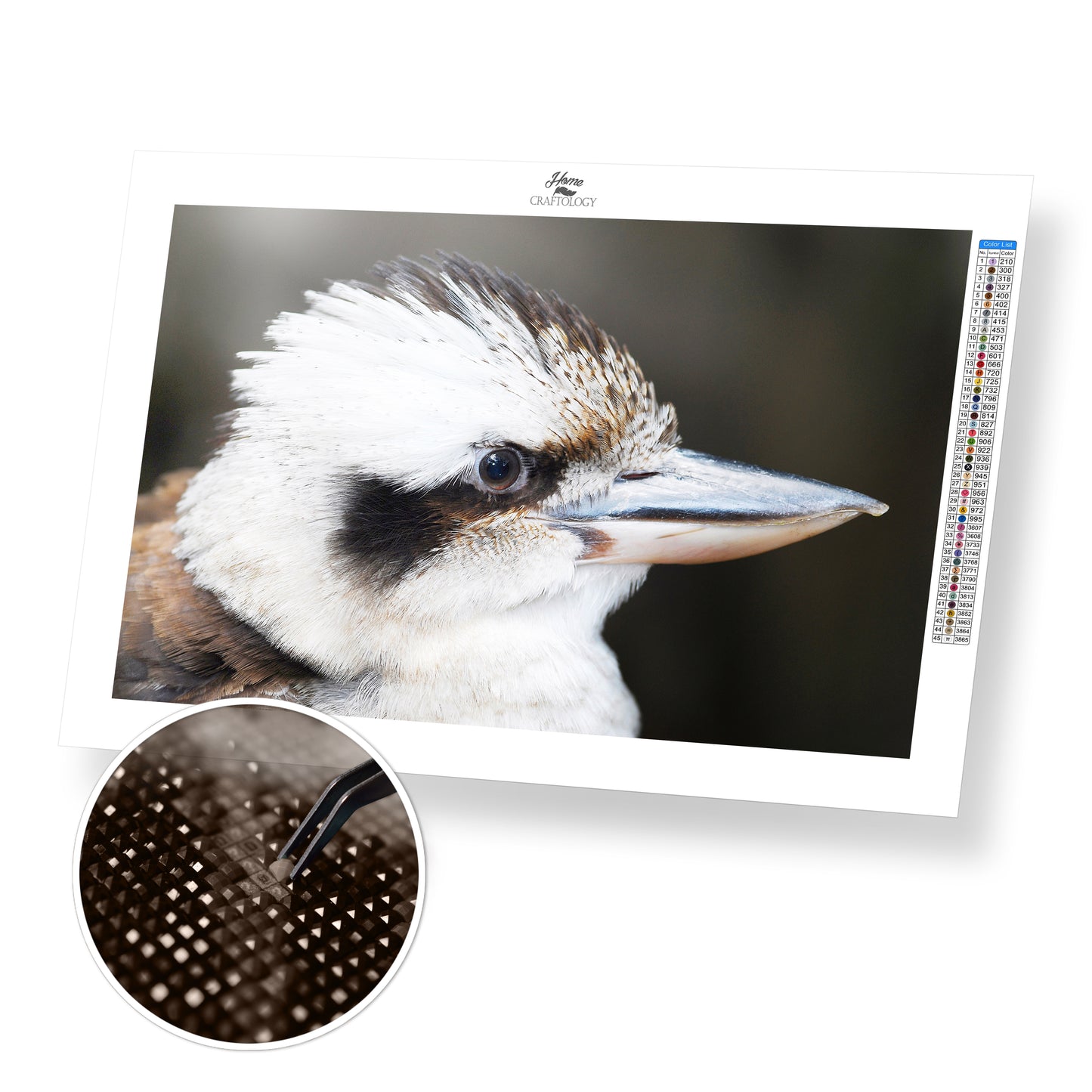 Kookaburra - Premium Diamond Painting Kit