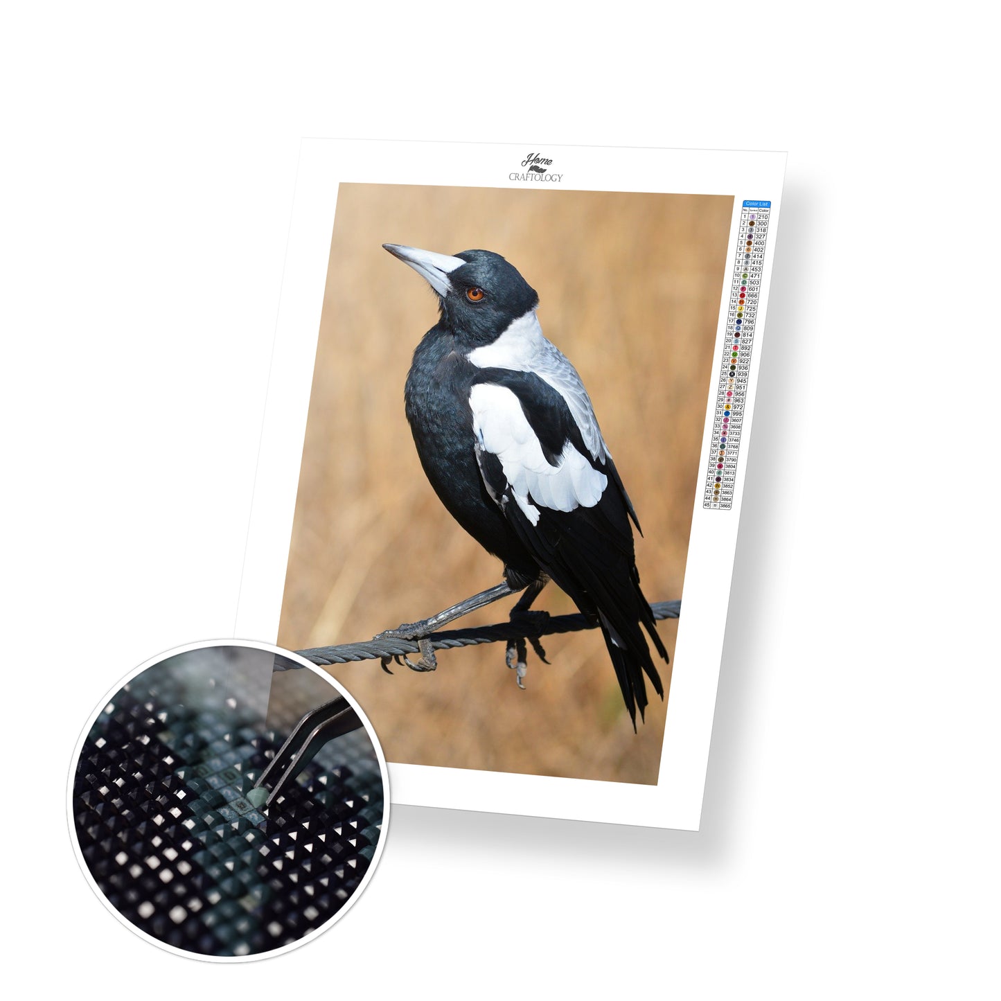 Magpie - Premium Diamond Painting Kit