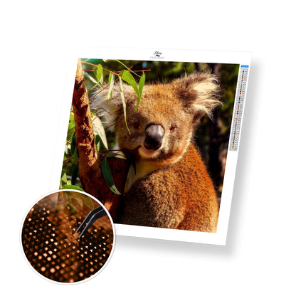 Sleepy Koala - Premium Diamond Painting Kit