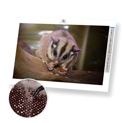 Sugar Glider - Premium Diamond Painting Kit