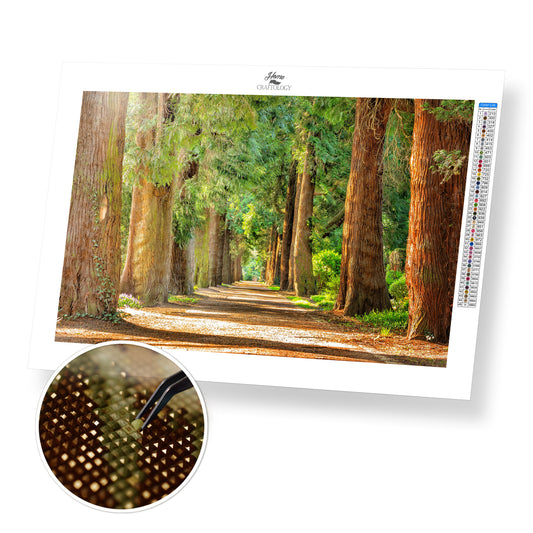 Avenue of Trees - Premium Diamond Painting Kit