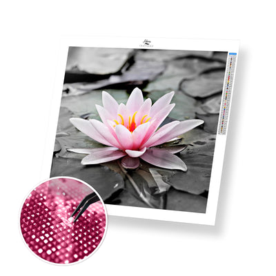 Pink Water Lily - Premium Diamond Painting Kit