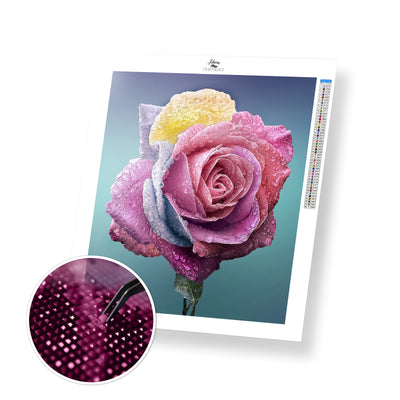 Rose Close-up - Premium Diamond Painting Kit