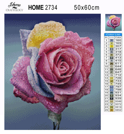 Rose Close-up - Premium Diamond Painting Kit