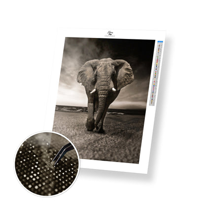 Black and White Elephant - Premium Diamond Painting Kit