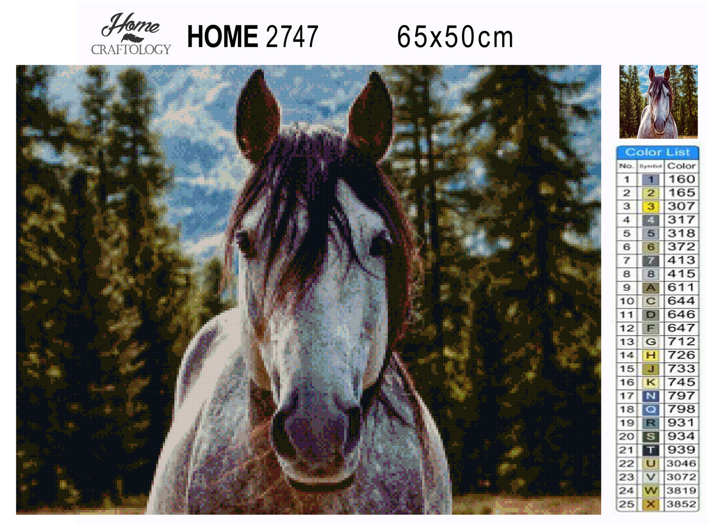 Horse Close-up - Premium Diamond Painting Kit