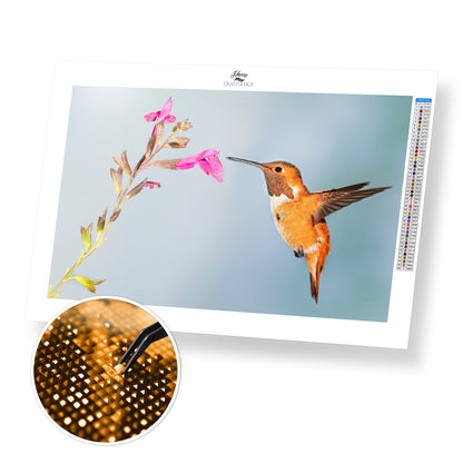 Hummingbird Drinking - Premium Diamond Painting Kit