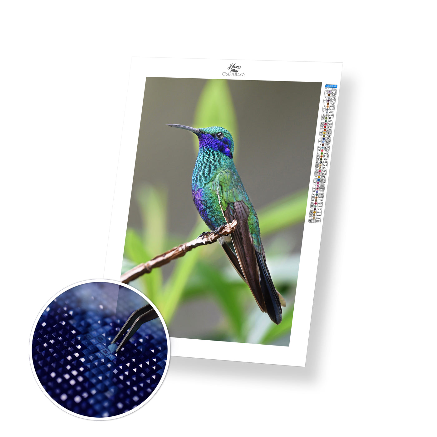 Hummingbird Resting - Premium Diamond Painting Kit