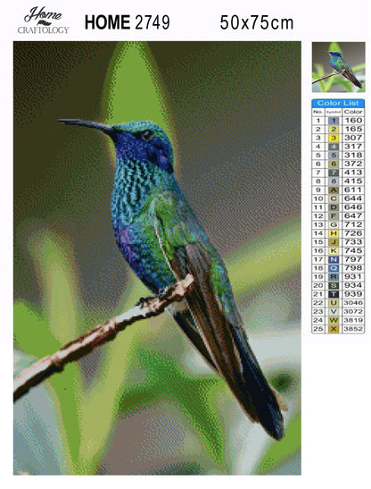 Hummingbird Resting - Premium Diamond Painting Kit