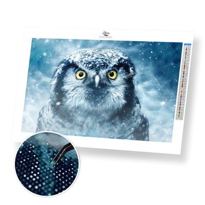 Owl Close-up - Premium Diamond Painting Kit
