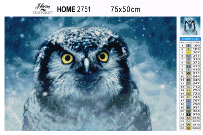 Owl Close-up - Premium Diamond Painting Kit