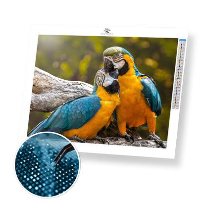 Parrots Kissing - Premium Diamond Painting Kit