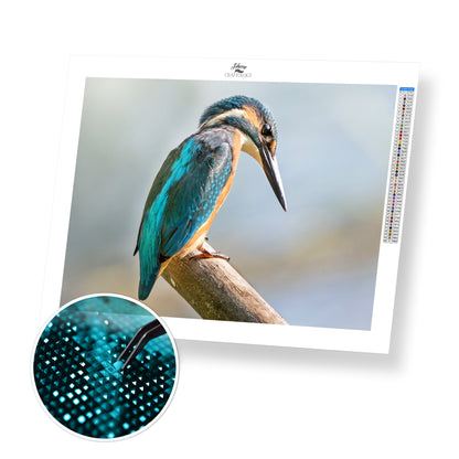 Perched Kingfisher - Premium Diamond Painting Kit