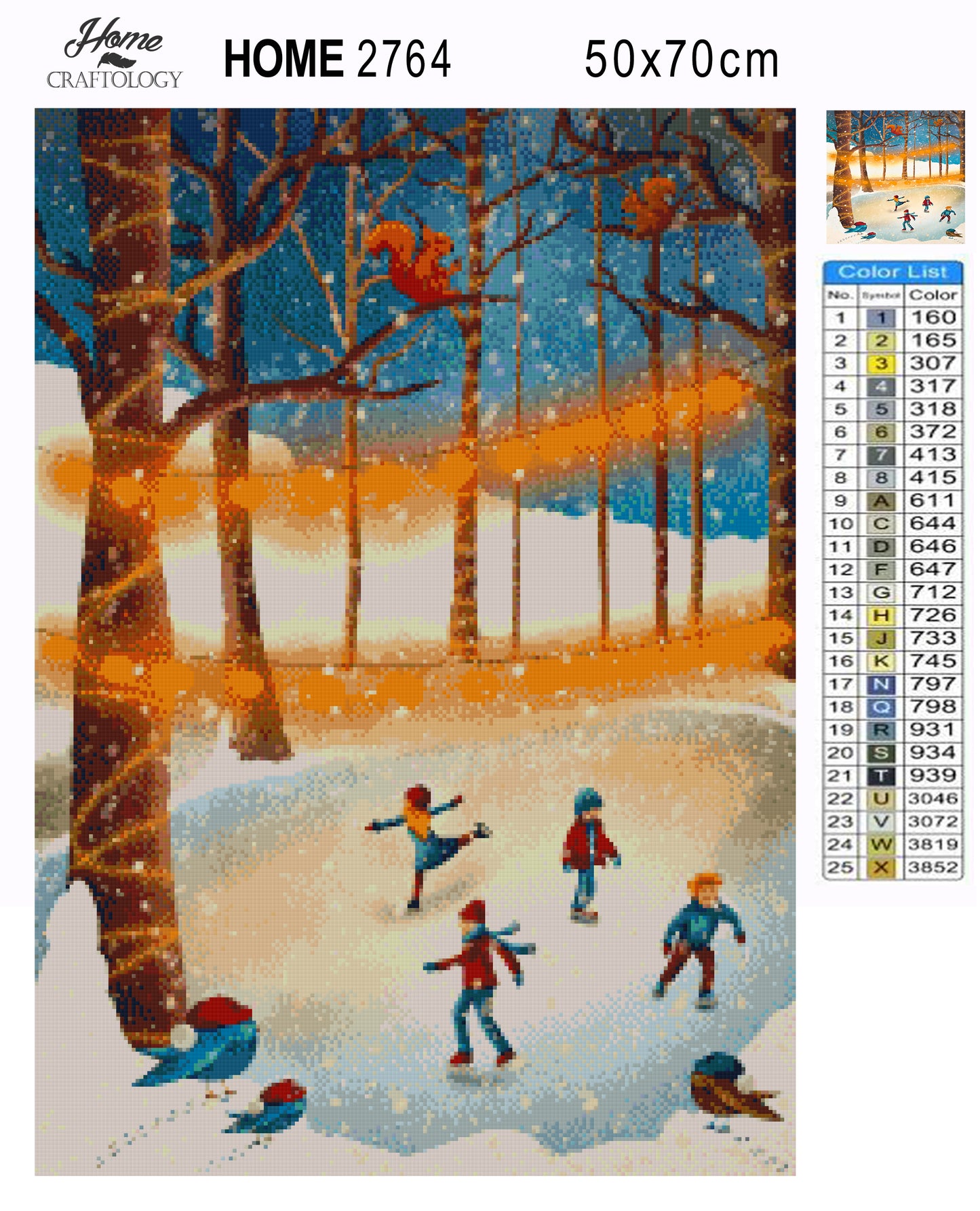 Ice Skating - Premium Diamond Painting Kit