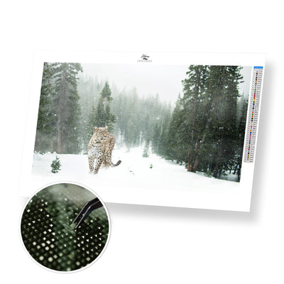 Snow Leopard - Premium Diamond Painting Kit