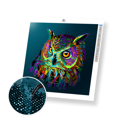 Colorful Owl - Premium Diamond Painting Kit