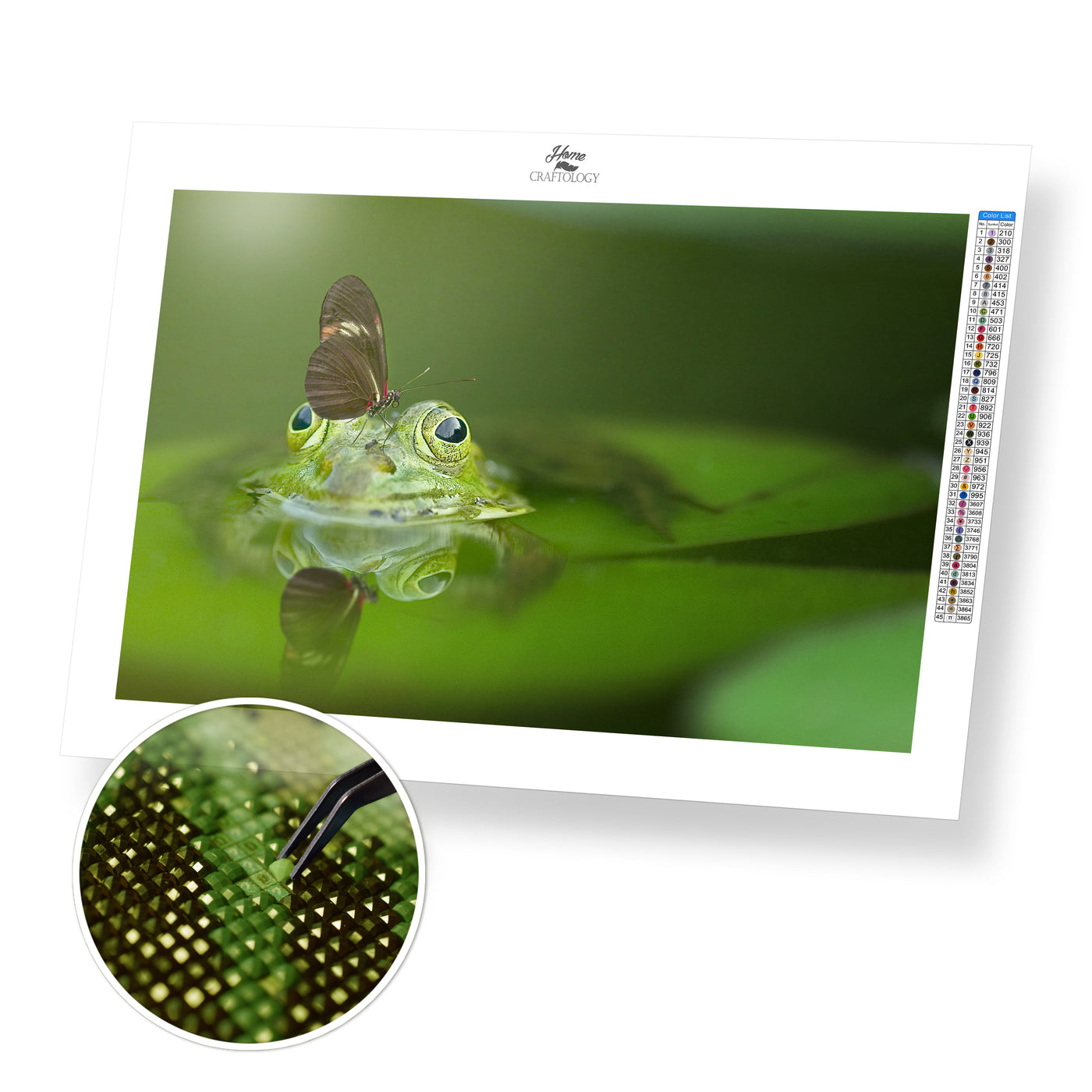 Butterfly on a Frog - Premium Diamond Painting Kit