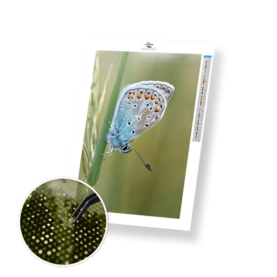 Butterfly Perched on a Branch - Premium Diamond Painting Kit