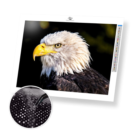 Eagle Close-up - Premium Diamond Painting Kit