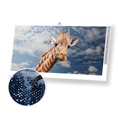 Giraffe Headshot - Premium Diamond Painting Kit