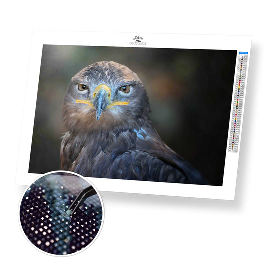 Golden Eagle Eyes - Premium Diamond Painting Kit