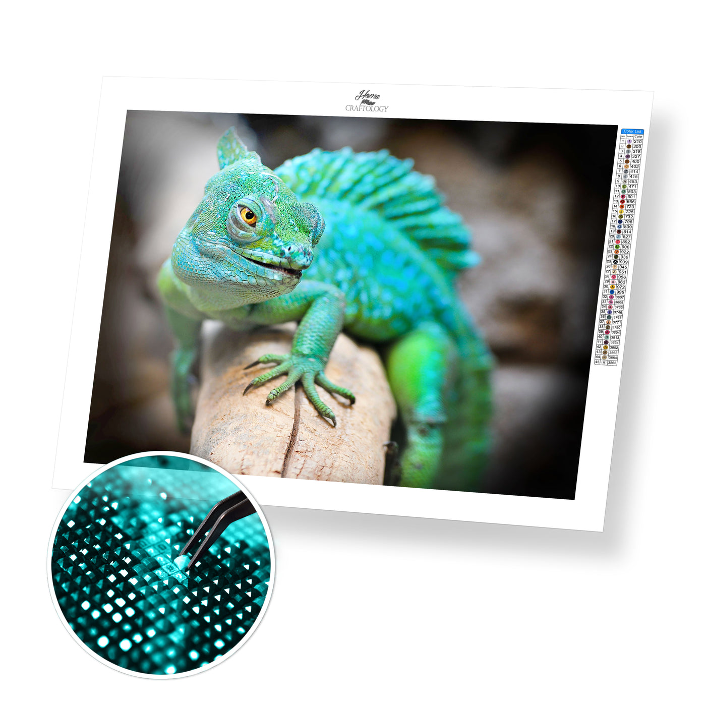 Green Chameleon - Premium Diamond Painting Kit