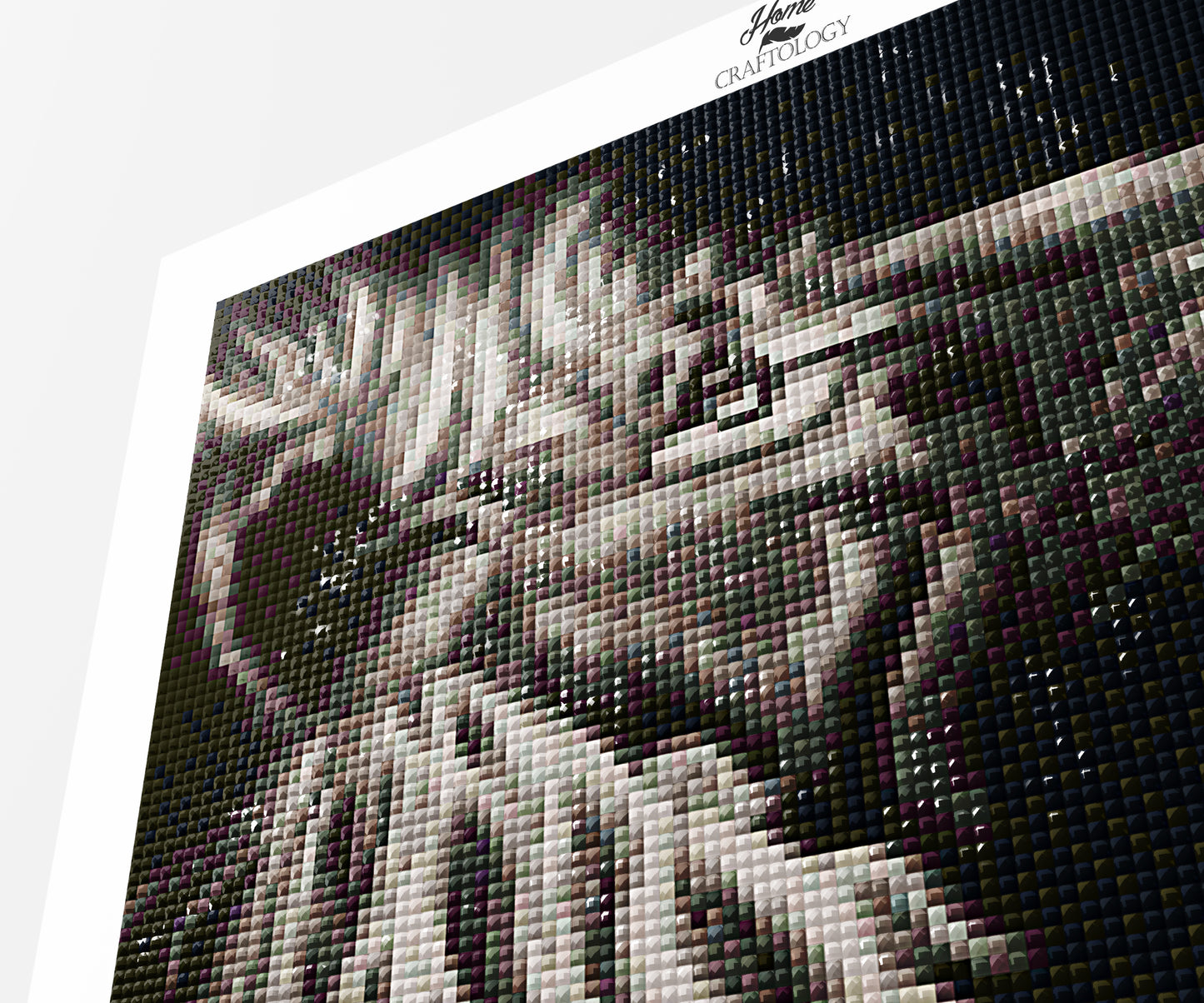 Black and White Lion - Premium Diamond Painting Kit