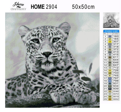 Wild Cat - Premium Diamond Painting Kit