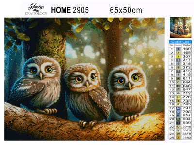 3 Cute Owls - Premium Diamond Painting Kit