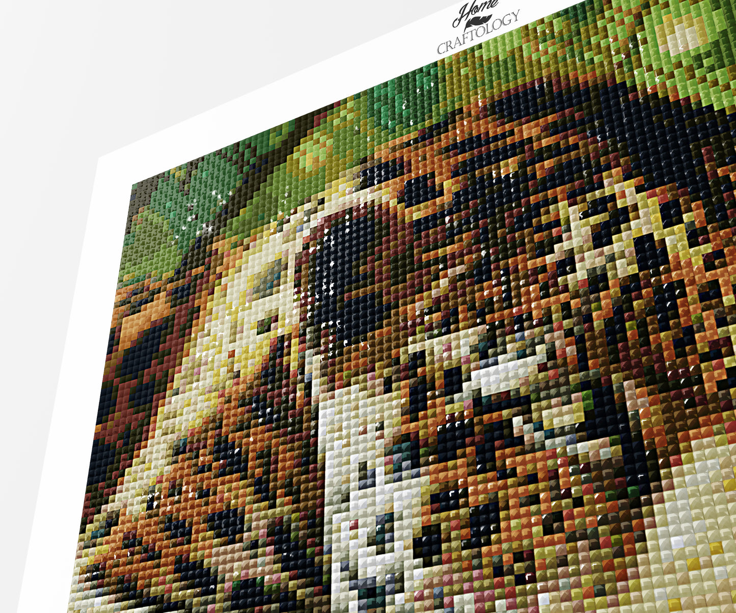 Leopard Close-up - Premium Diamond Painting Kit