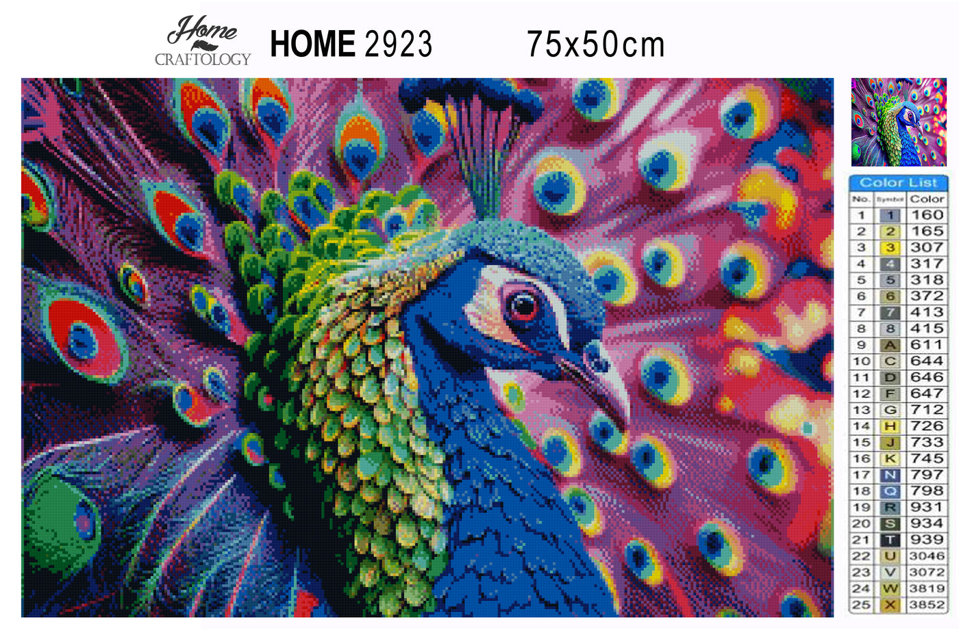 Peacock Close-up - Premium Diamond Painting Kit