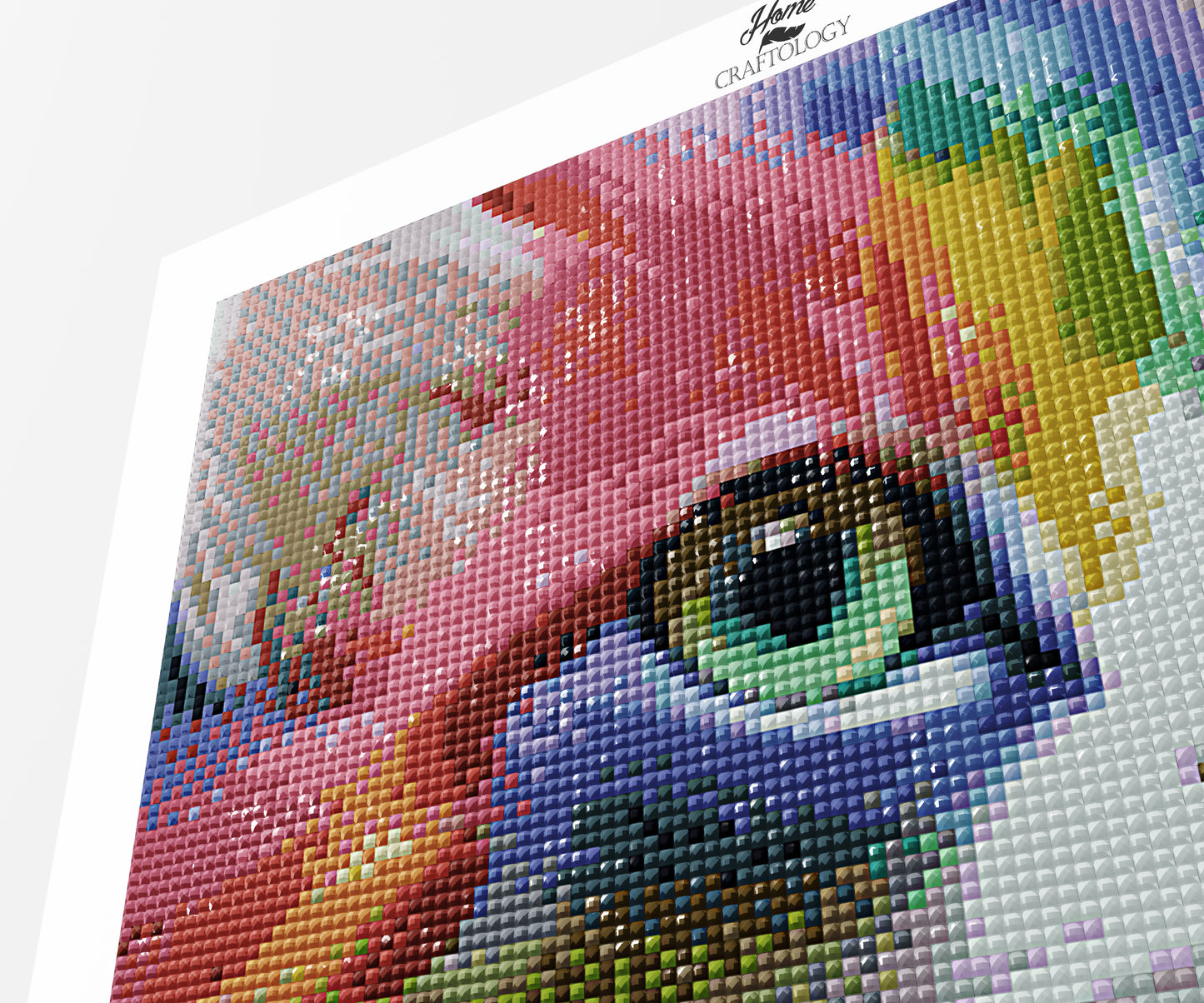 Cat's Colorful Face- Premium Diamond Painting Kit