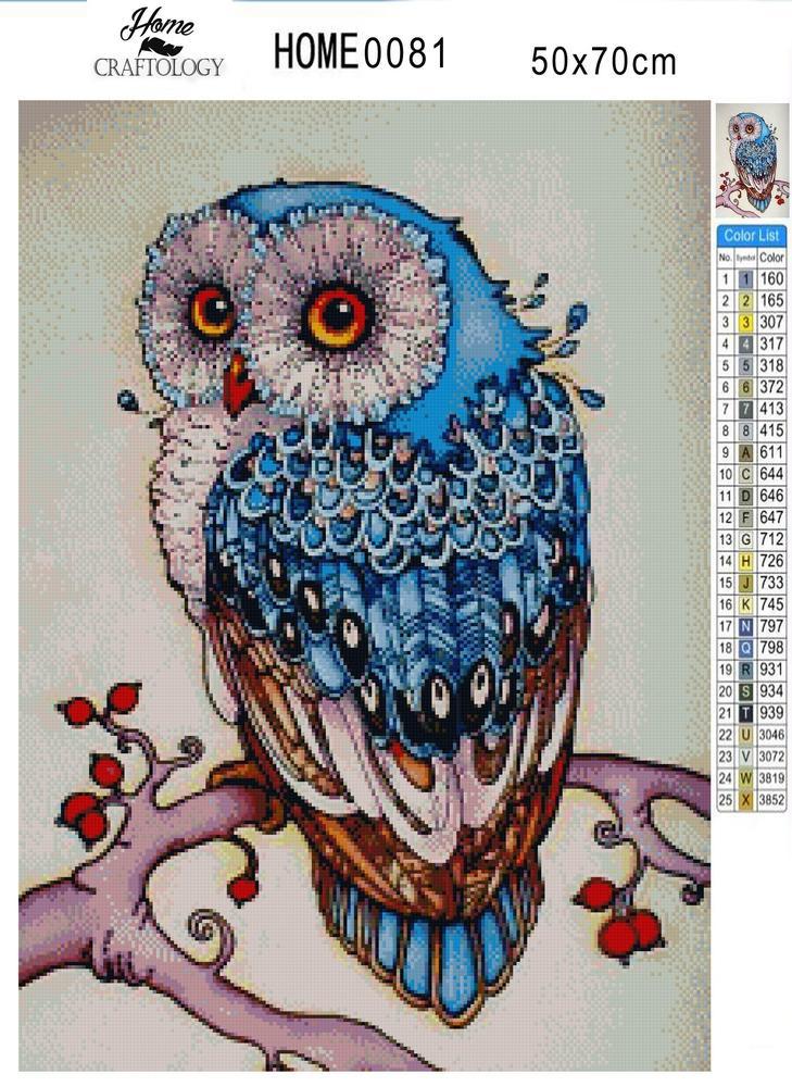 Cute Owl - Premium Diamond Painting Kit