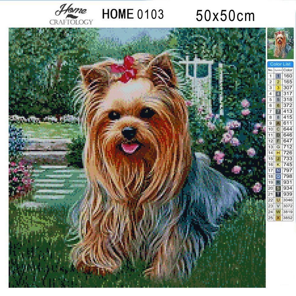 Dog Yorkshire Terrier - Premium Diamond Painting Kit