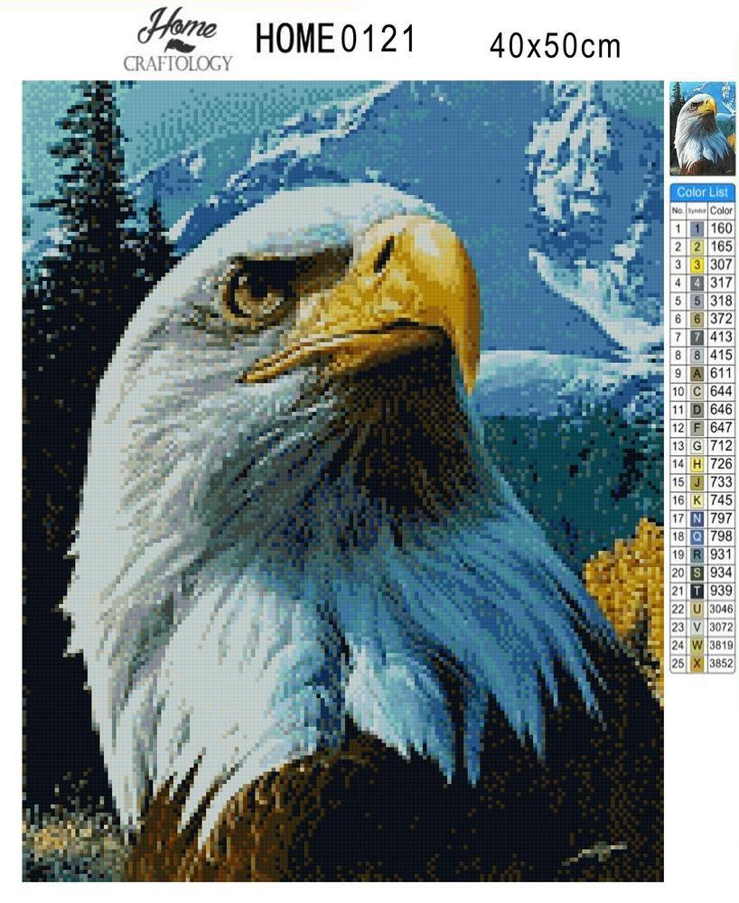 Fierce Eagle - Premium Diamond Painting Kit