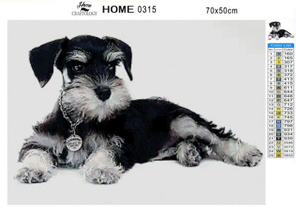 Schnauzer Dog - Premium Diamond Painting Kit