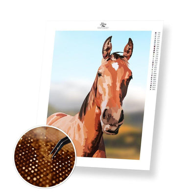 Horse - Diamond Painting Kit - Home Craftology
