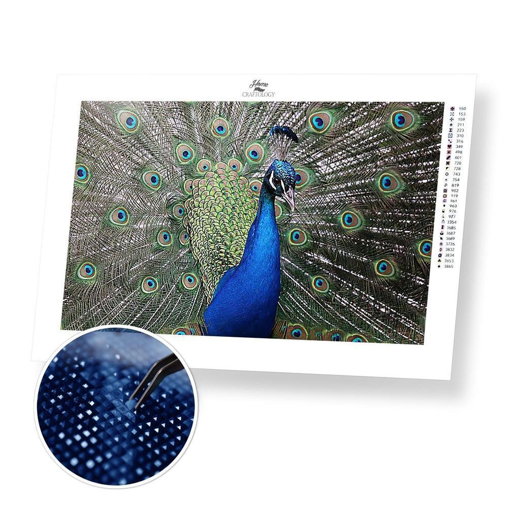 Indian Peafowl - Diamond Painting Kit - Home Craftology