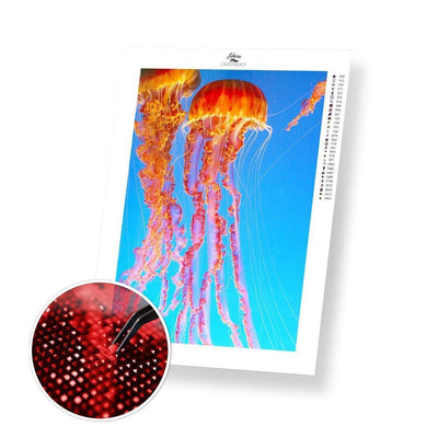 Jellyfish - Diamond Painting Kit - Home Craftology
