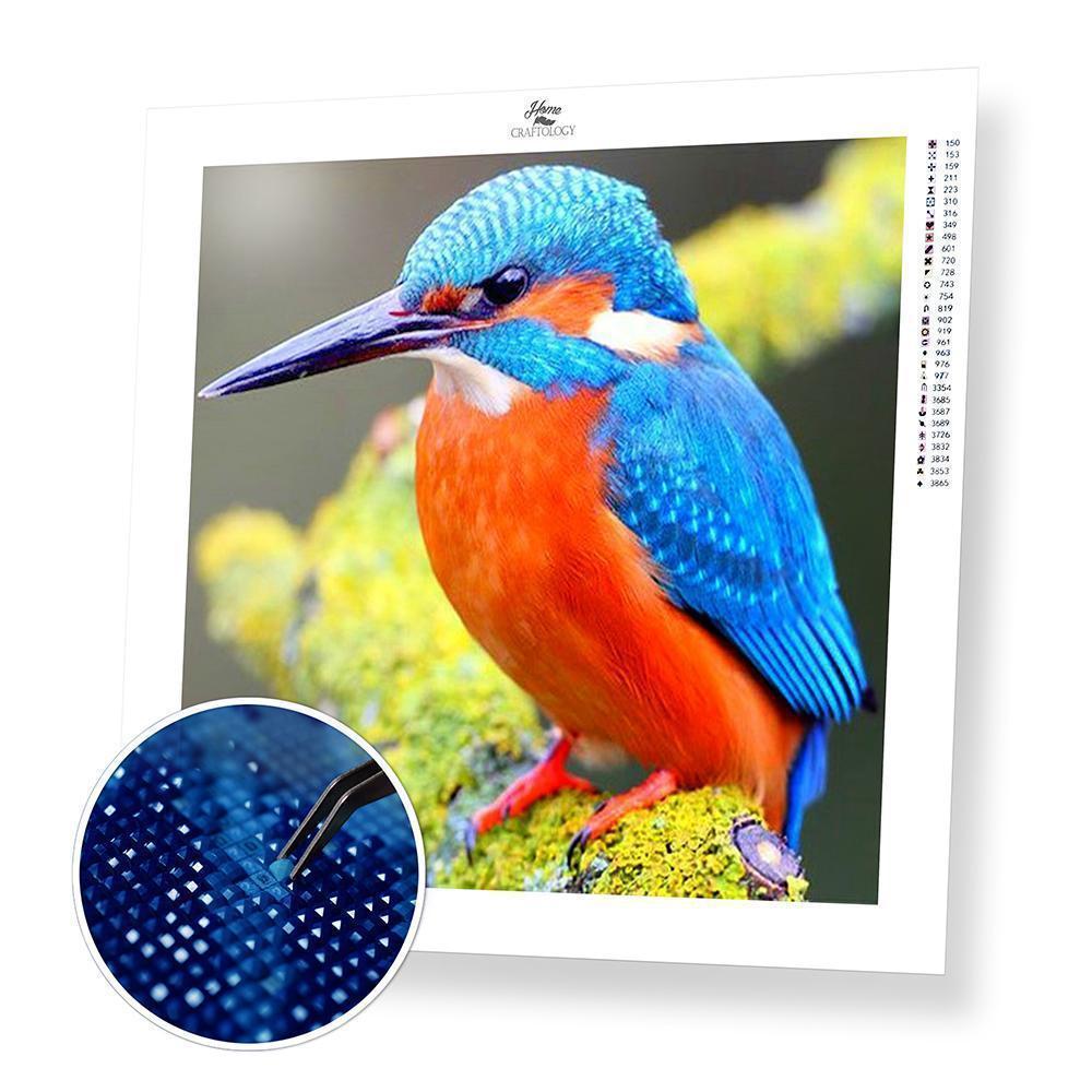 Kingfisher Bird - Diamond Painting Kit - Home Craftology
